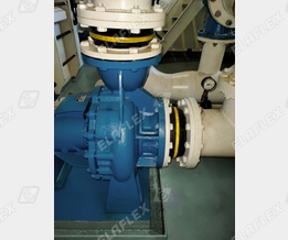 ERV-G, DN 250 and DN 300