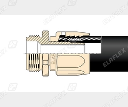 V19-1 Ms Schnitt