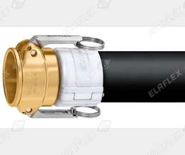 AMKX50 Ms cgi