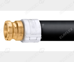 AVKX50 Ms cgi