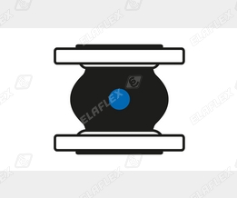 ERV-BR Icon