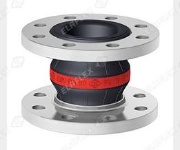 ERV-R80-16
